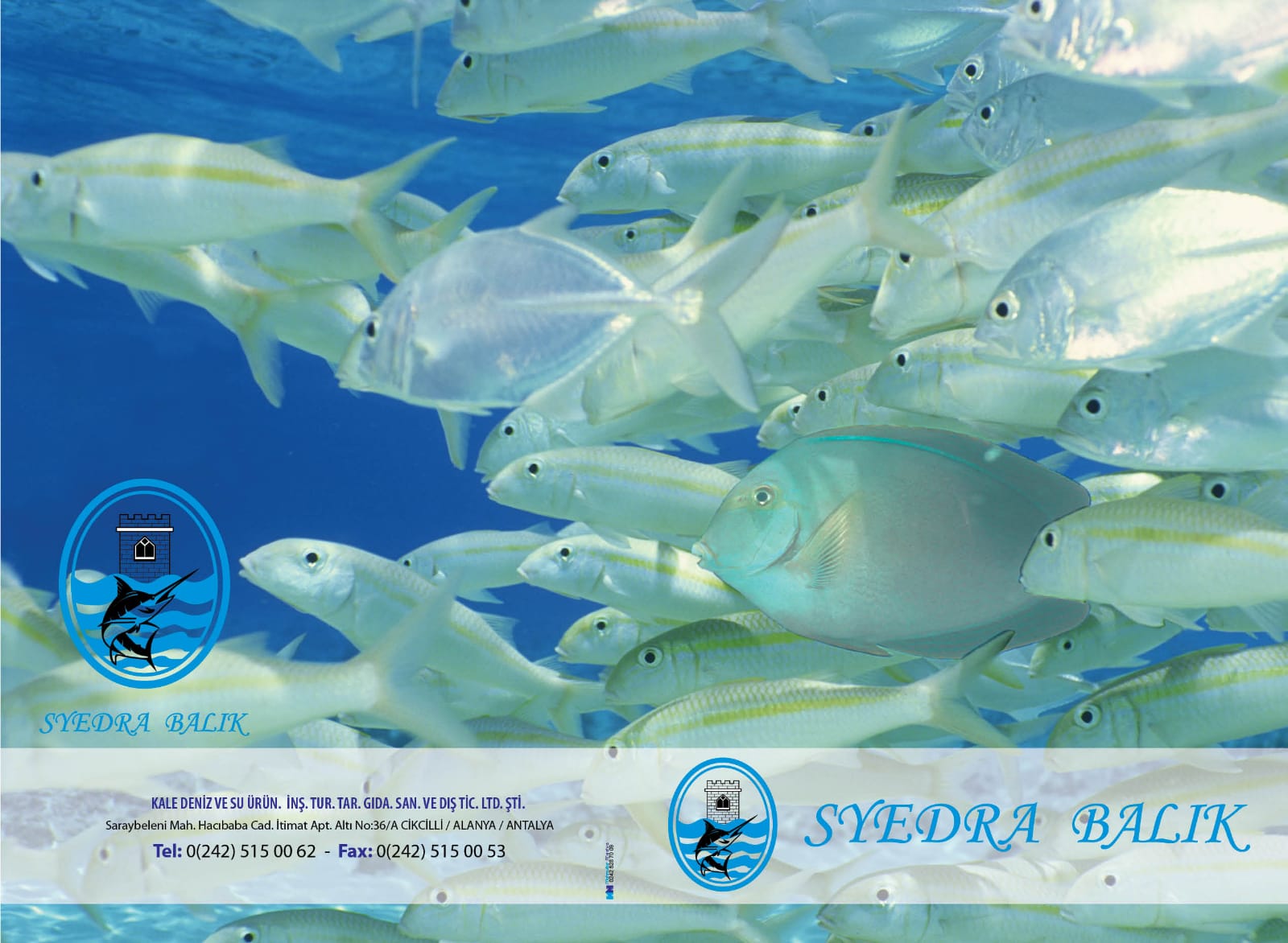 antalya alanya syedra balik 3