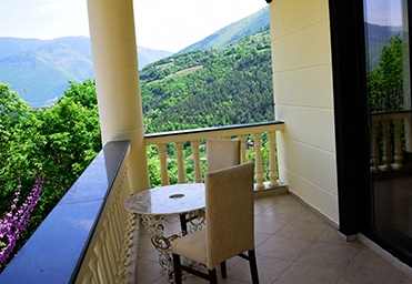 artvin merkez mars otel 2