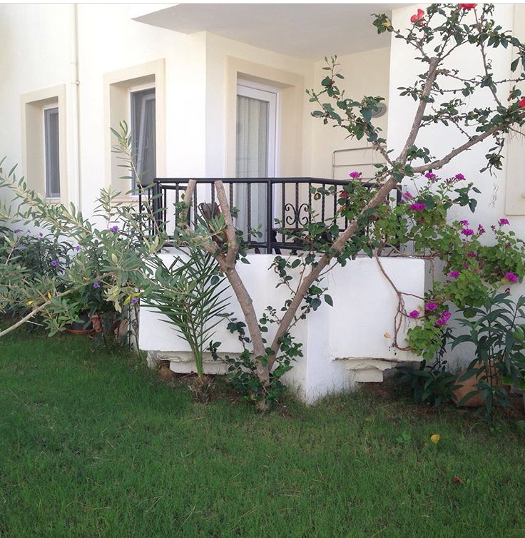 bodrum mugla acelya restaurant otel 4