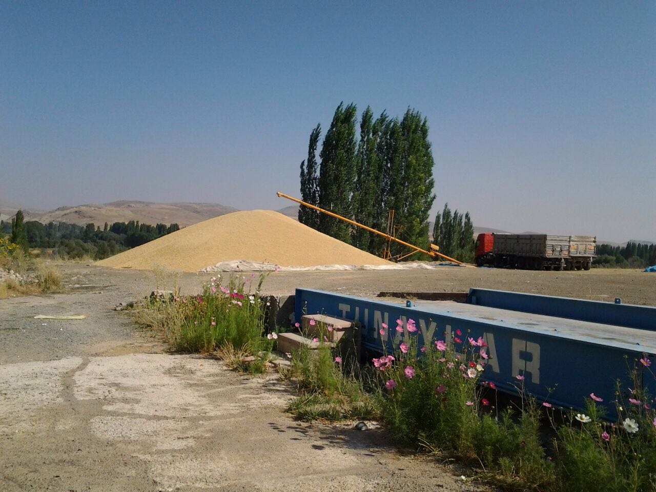 bursa orhangazi iyi gun tarim urunleri 1