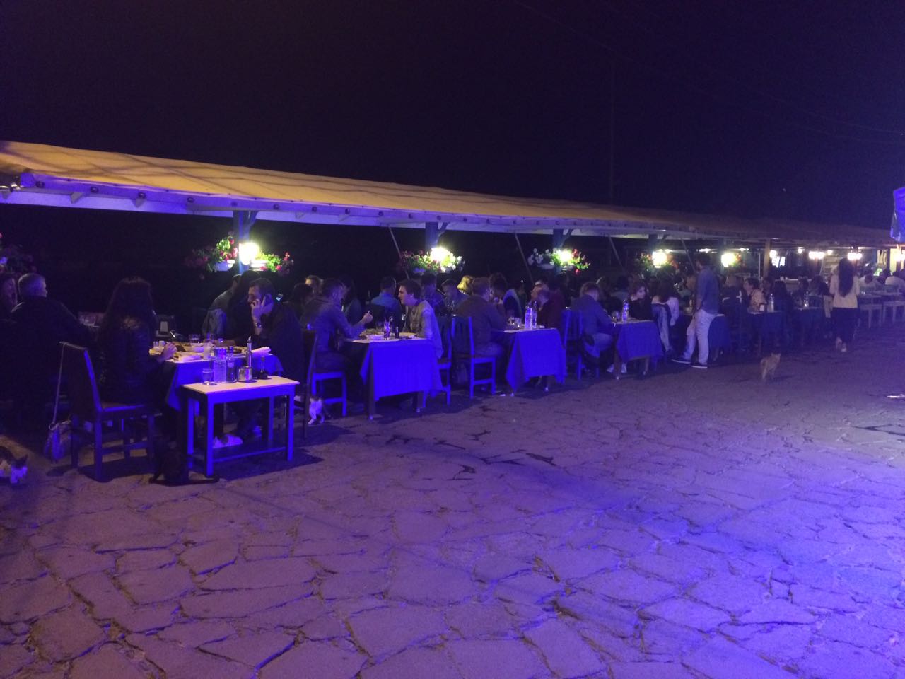canakkale ayvacik uzun ev cafe restaurant 5