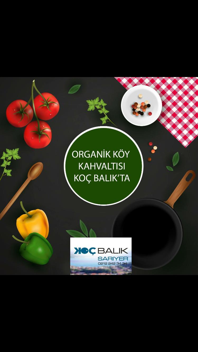 istanbul sariyer koc balik restaurant 12