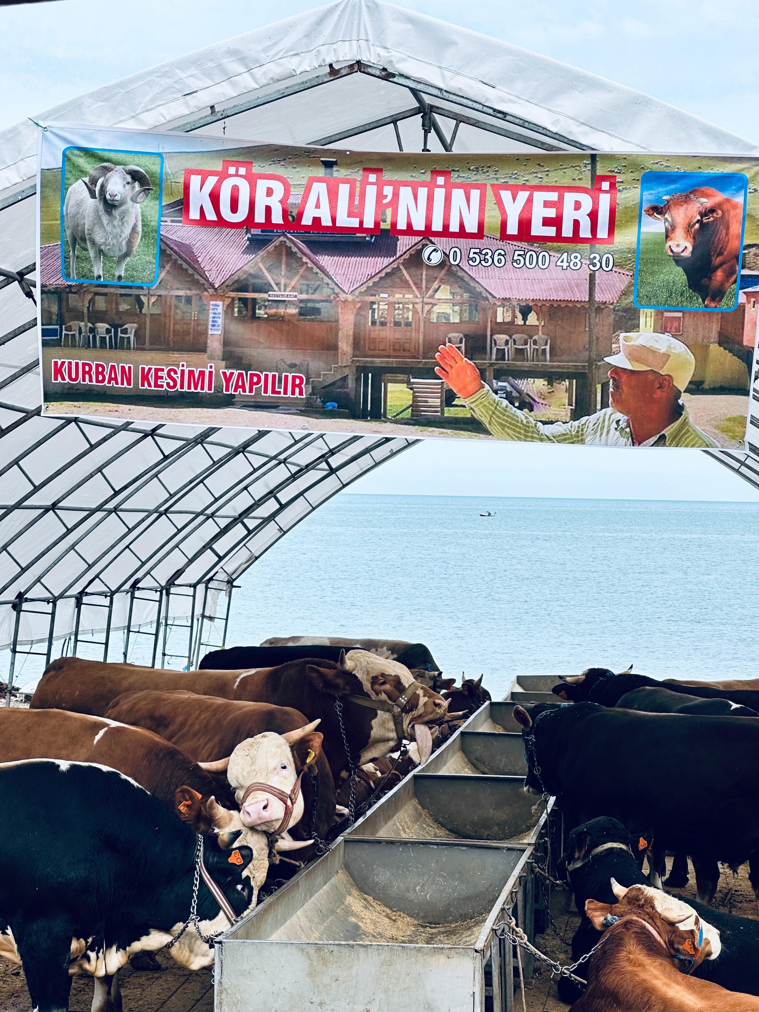 kor ali turistik tesisleri gumushane taskopru yaylasi 3