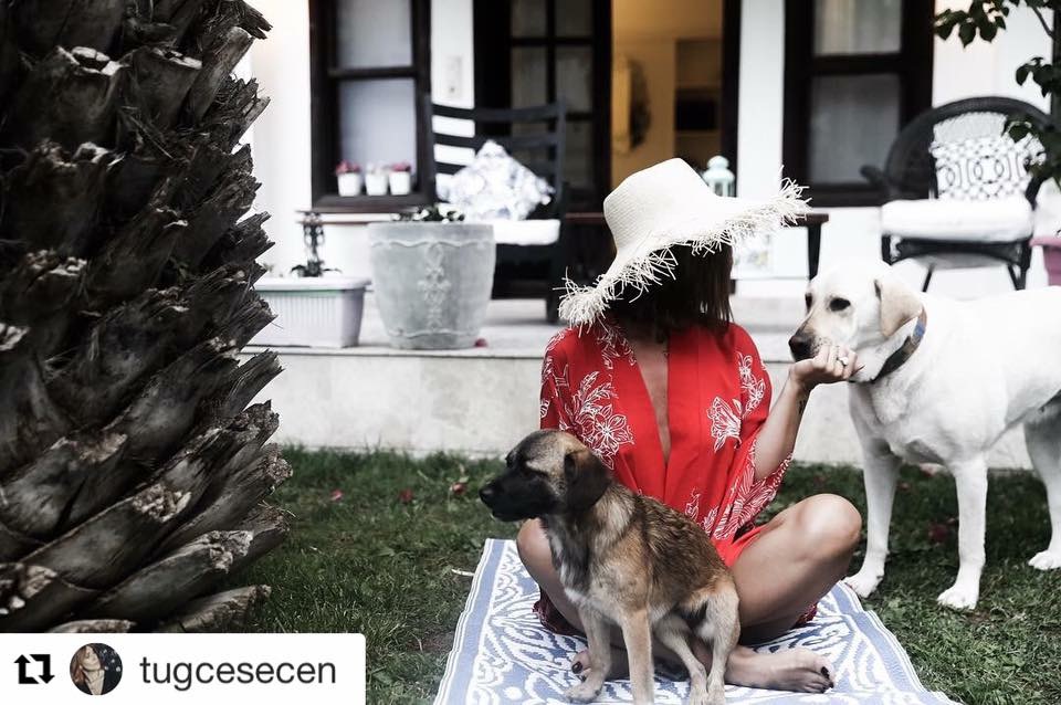 mugla akyaka kiraz cicegi butik otel akyaka 2