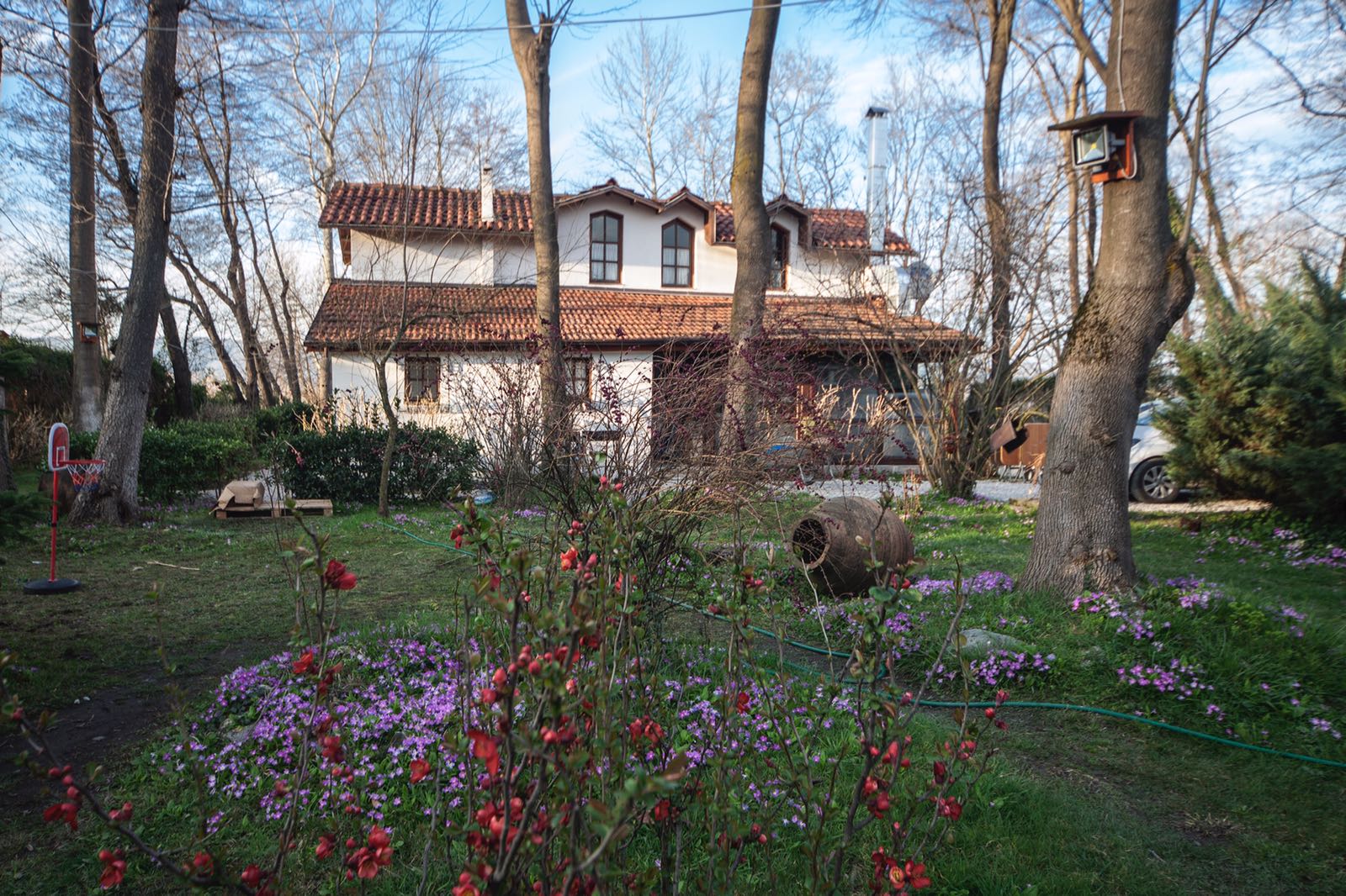 sakarya sapanca beta home 2